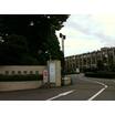 大学