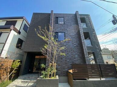 正面のアングルで撮影した写真です。