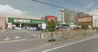 ユーホー 緑町店