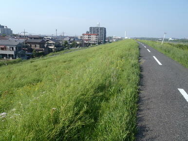 近隣の土手の上から（現在）