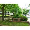 公園