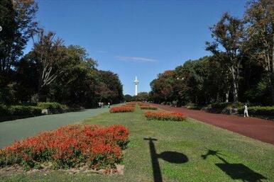 所沢航空記念公園