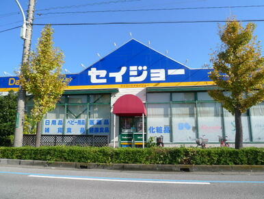 デイリーケアセイジョー芝塚原店