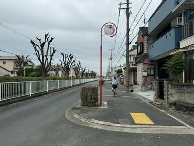 東側前面道路　歩道含めて８．２ｍ！！