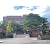 大学