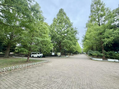 【そうか公園】