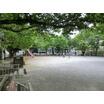 公園
