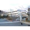 小学校