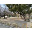 公園