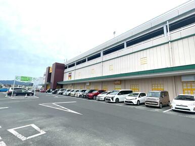 アピタ島田店