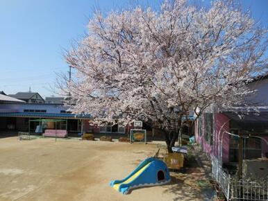 豊川市立北保育園