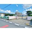 幼稚園、保育園