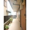 共有部分