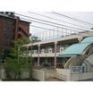 幼稚園、保育園