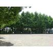 公園