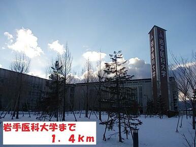岩手医科大学