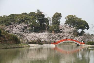 垣生公園