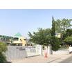 幼稚園、保育園