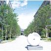 大学