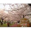 公園