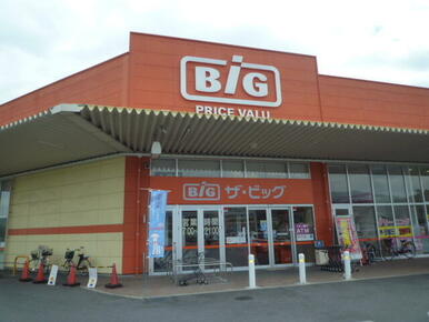 ザ・ビッグ周東店