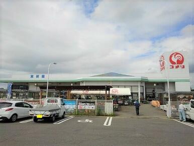 コメリハード＆グリーン山本店