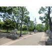 公園
