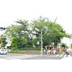 公園
