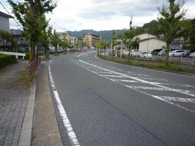 前道幅員約20.3ｍ