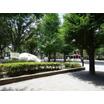 公園