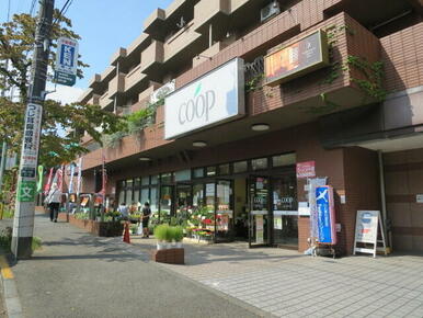 コープ