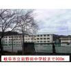 中学校