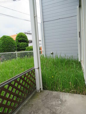 ★広々としたテラス★