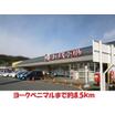 販売店