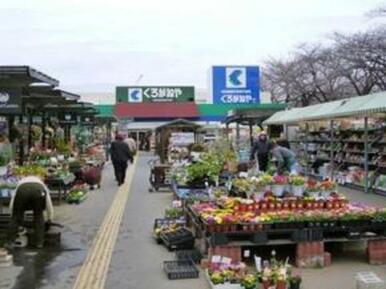 ホームセンターくろがねや成城店