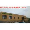 幼稚園、保育園