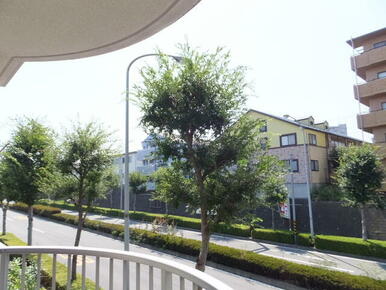 ★過去の参考写真★