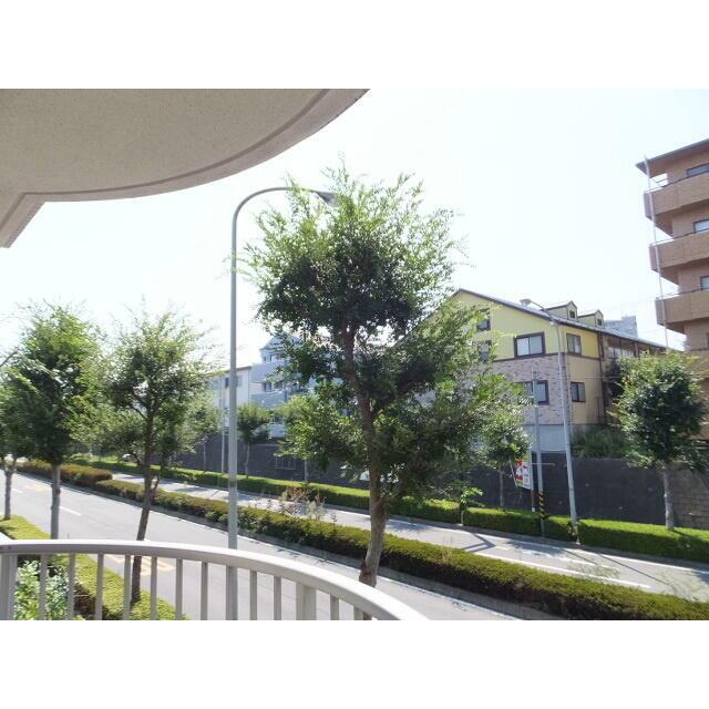 ★過去の参考写真★