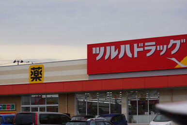 ツルハドラッグ田子西店