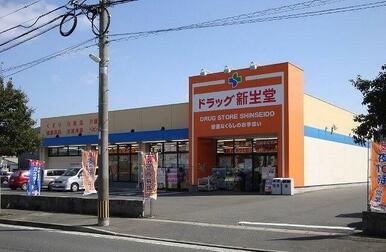 ドラッグ新生堂