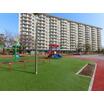 幼稚園、保育園