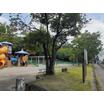 公園