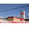 販売店