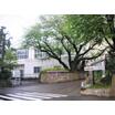 中学校