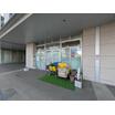 幼稚園、保育園