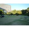 公園