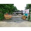 幼稚園、保育園