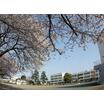 小学校