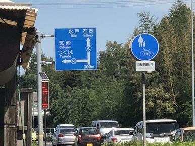 目の前を走る国道６号線