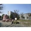 公園